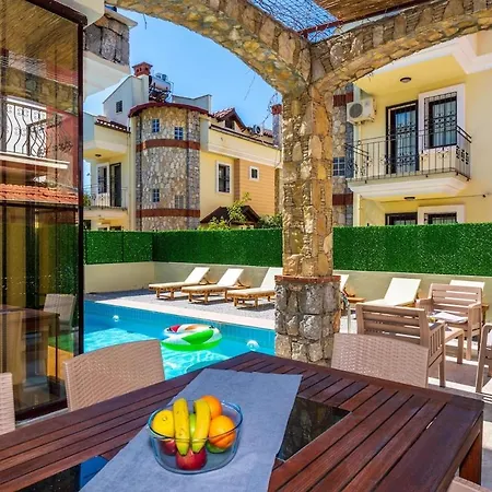 Gelincik, * 페티예